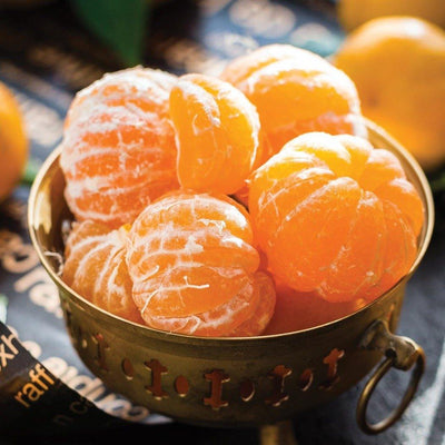 Tangerine Candle - #CandlesForACause - Partial proceeds of this candle gives back to kids mental health. Vegan. All-natural soy and coconut wax. Phthalate-free fragrances. Crackling wooden wick, and a seed paper bookmark to plant in your candle jar after. Feel good about what you buy.