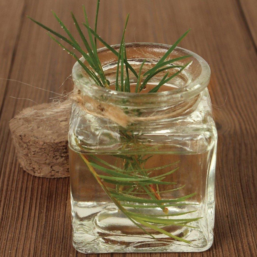 Tea Tree Candle - #CandlesForACause - Partial proceeds of this candle gives back to kids mental health. Vegan. All-natural soy and coconut wax. Phthalate-free fragrances. Crackling wooden wick, and a seed paper bookmark to plant in your candle jar after. Feel good about what you buy.