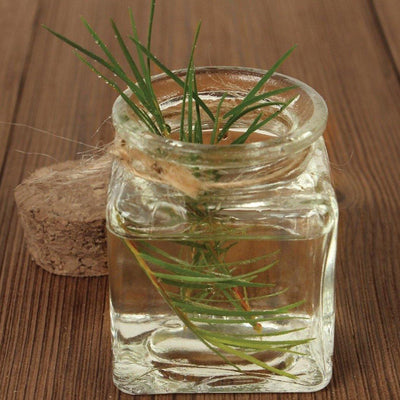 Tea Tree Candle - #CandlesForACause - Partial proceeds of this candle gives back to kids mental health. Vegan. All-natural soy and coconut wax. Phthalate-free fragrances. Crackling wooden wick, and a seed paper bookmark to plant in your candle jar after. Feel good about what you buy.